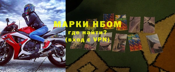 ПСИЛОЦИБИНОВЫЕ ГРИБЫ Абаза